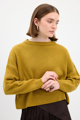 Basic Knit Sweater Olive Green